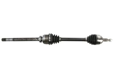 Drive Shaft PASCAL G2R096PC