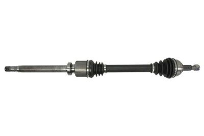 Drive Shaft PASCAL G2R098PC