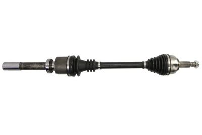 Drive Shaft PASCAL G2R117PC