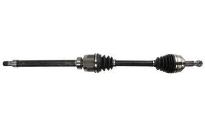 Drive Shaft PASCAL G2R154PC
