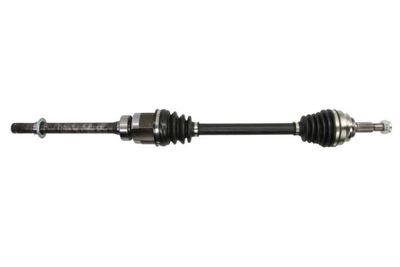 Drive Shaft PASCAL G2R169PC