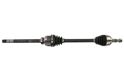 Drive Shaft PASCAL G2R179PC