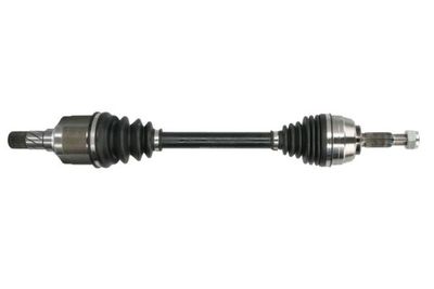Drive Shaft PASCAL G2R191PC