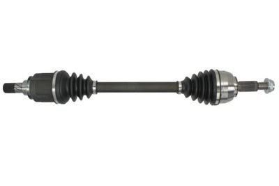 Drive Shaft PASCAL G2R193PC