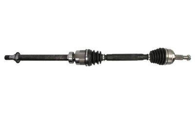 Drive Shaft PASCAL G2R195PC