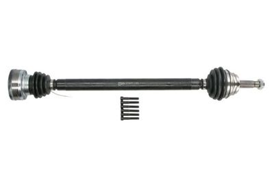Drive Shaft PASCAL G2T002PC