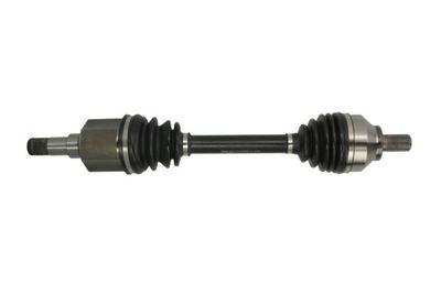 Drive Shaft PASCAL G2V005PC