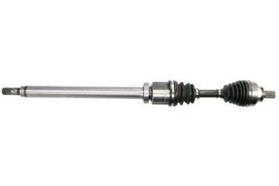 Drive Shaft PASCAL G2V013PC