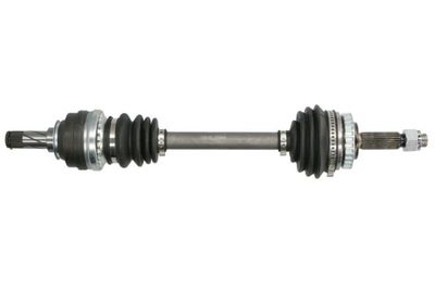 Drive Shaft PASCAL G2X006PC