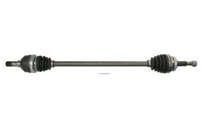 Drive Shaft PASCAL G2X012PC