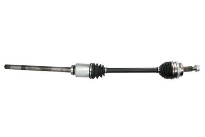 Drive Shaft PASCAL G2X018PC