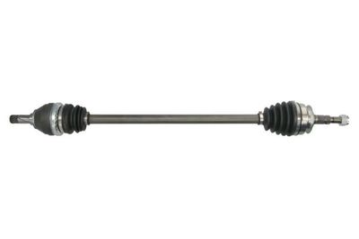 Drive Shaft PASCAL G2X023PC