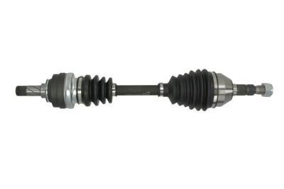 Drive Shaft PASCAL G2X029PC