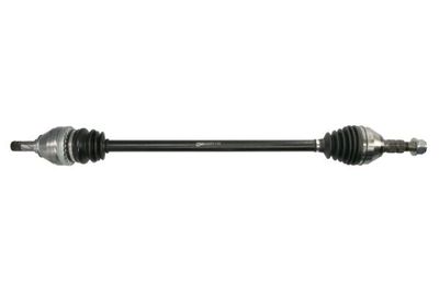Drive Shaft PASCAL G2X033PC