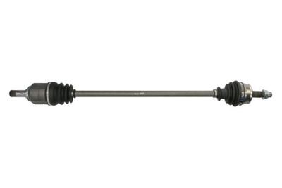 Drive Shaft PASCAL G2X038PC