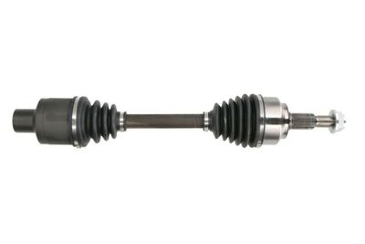 Drive Shaft PASCAL G2Y005PC