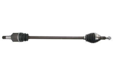 Drive Shaft PASCAL G2Y008PC