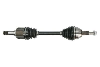 Drive Shaft PASCAL G2Y009PC