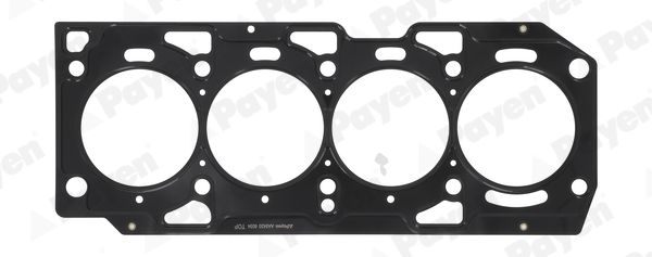 PAYEN AA5420 Gasket, cylinder head