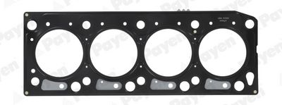 Gasket, cylinder head PAYEN AB5310