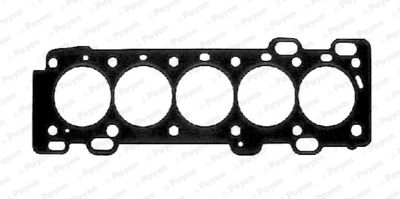 Gasket, cylinder head PAYEN AB5451