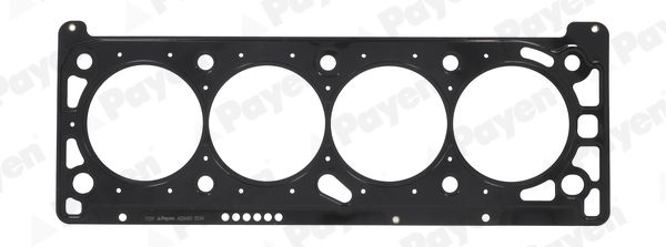PAYEN AC5460 Gasket, cylinder head