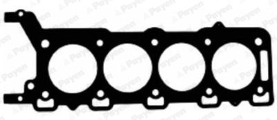 Gasket, cylinder head PAYEN AC5500