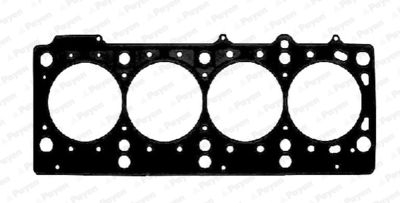 Gasket, cylinder head PAYEN AC5550
