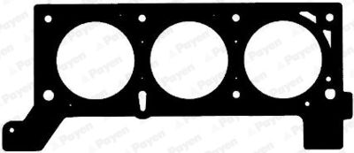 Gasket, cylinder head PAYEN AC5590