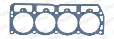 Gasket, cylinder head PAYEN AC5600