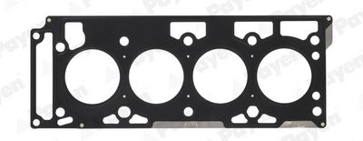 Gasket, cylinder head PAYEN AD5020
