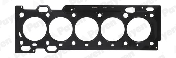 PAYEN AE5560 Gasket, cylinder head