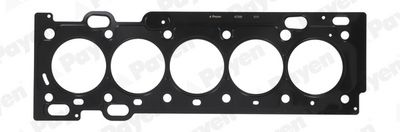 Gasket, cylinder head PAYEN AE5560