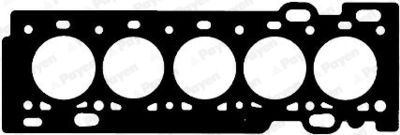 Gasket, cylinder head PAYEN AG8320