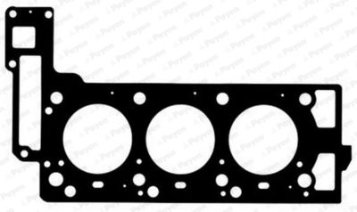 Gasket, cylinder head PAYEN AG8390