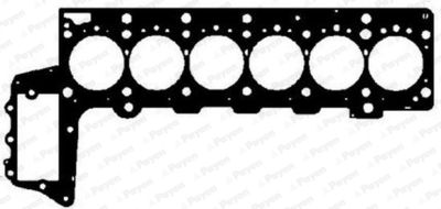Gasket, cylinder head PAYEN AG9020