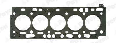 Gasket, cylinder head PAYEN AH7220