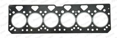 Gasket, cylinder head PAYEN BR530