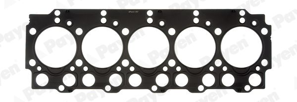 PAYEN BZ640 Gasket, cylinder head