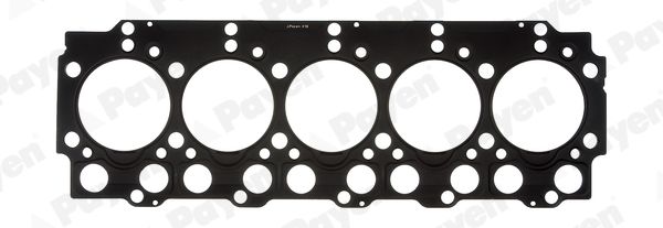 PAYEN BZ650 Gasket, cylinder head