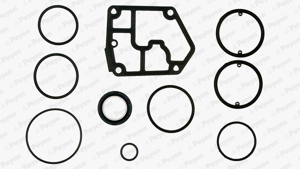 PAYEN EF5380 Gasket Kit, crankcase