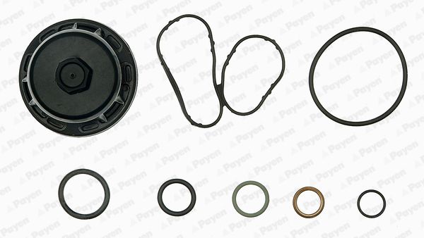 PAYEN EG9760 Gasket Kit, crankcase