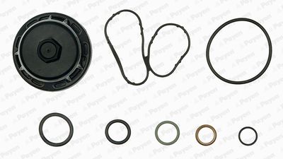 Gasket Kit, crankcase PAYEN EG9760