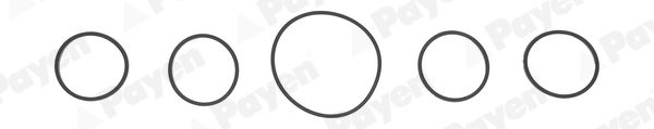 PAYEN HA5005 Gasket Set, intake manifold