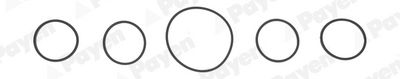 Gasket Set, intake manifold PAYEN HA5005