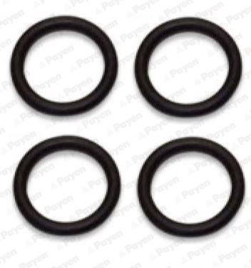 Gasket Set, intake manifold PAYEN HA5031