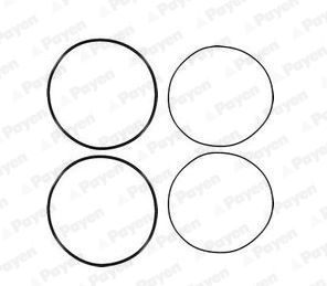 PAYEN HL5191 Gasket Set, cylinder liner