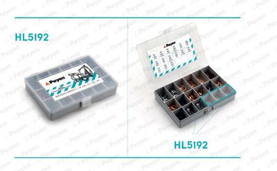 Assortment, oil drain plugs PAYEN HL5192