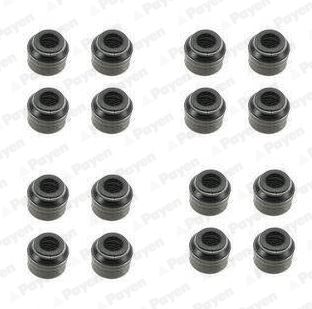 Seal Set, valve stem PAYEN HR5048