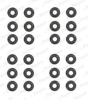 Seal Set, valve stem PAYEN HR5062